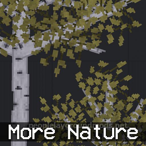 More Nature